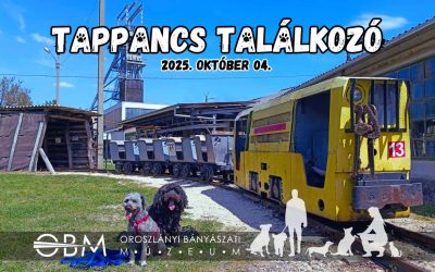 Tappancsok az Oroszlányi Bányászati Múzeumban